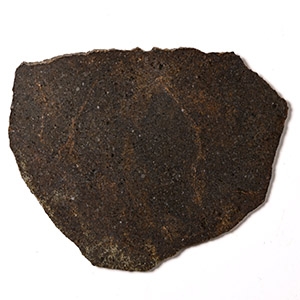 Natural History - Brachinite NWA 6349 Meteorite Slice